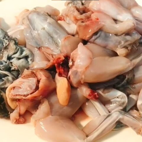 Sơ chế và ướp ếch