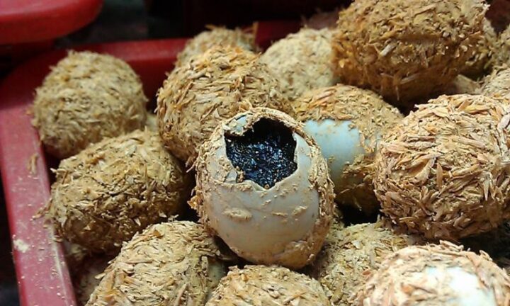 trung bac thao co tot khong cong dung va cach lam trung bac thao 9