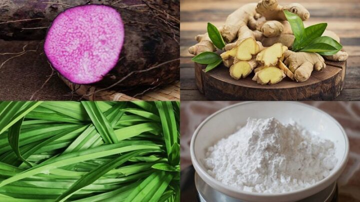 Hình ảnh khoai tím tươi và gừng