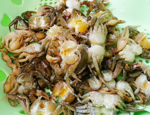 1434940876 canh cua mong toi 1 1646