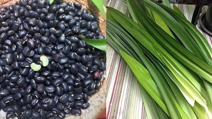 Nguyên liệu món ăn sữa đậu đen
