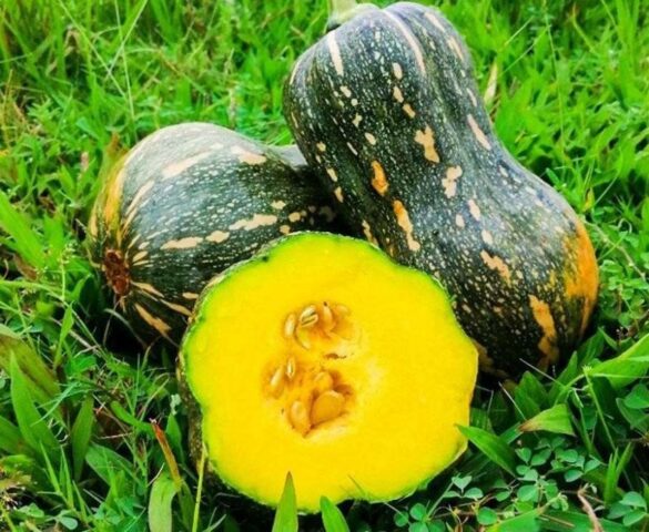 Hình ảnh một quả bí đỏ tươi ngon, dẻo thơm, nguyên liệu chính để nấu canh bí đỏ với xương