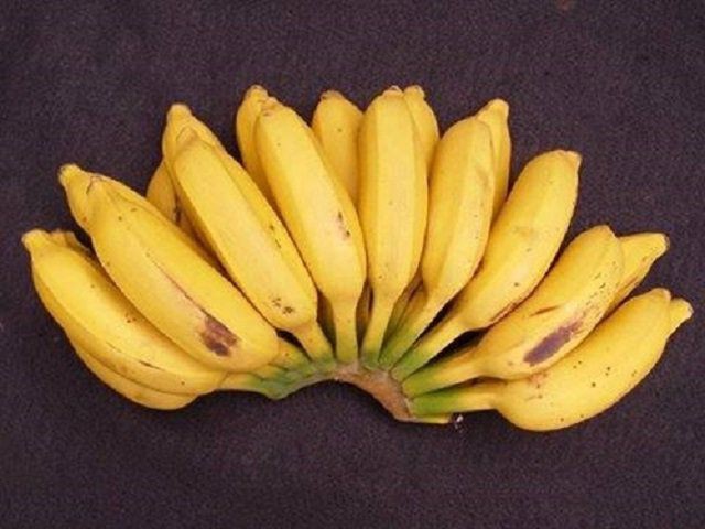 Cách chọn chuối sứ chín vừa có đốm đen để nấu chè chuối ngon