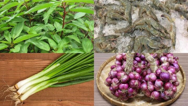 Nguyên liệu tươi ngon để chế biến món canh rau đay tôm