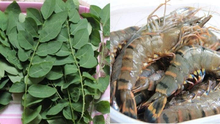 Nguyên liệu món ăn 3 cách nấu canh rau ngót