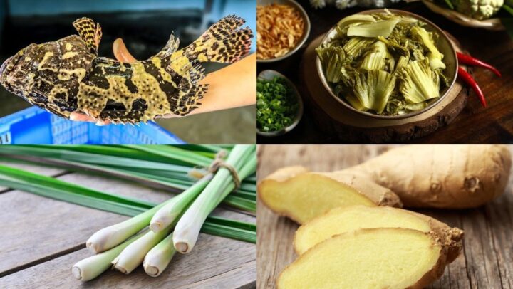 Nguyên liệu món ăn cách nấu cá hấp dưa thơm ngon miễn bàn bằng nồi lẩu điện có hấp