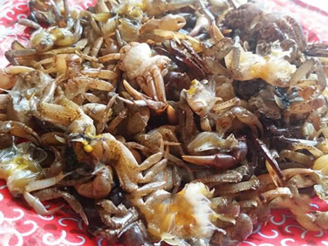 Sơ chế cua đồng làm bún riêu