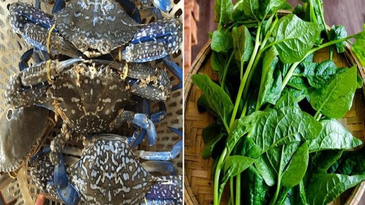 Nguyên liệu làm canh mồng tơi nấu ghẹ