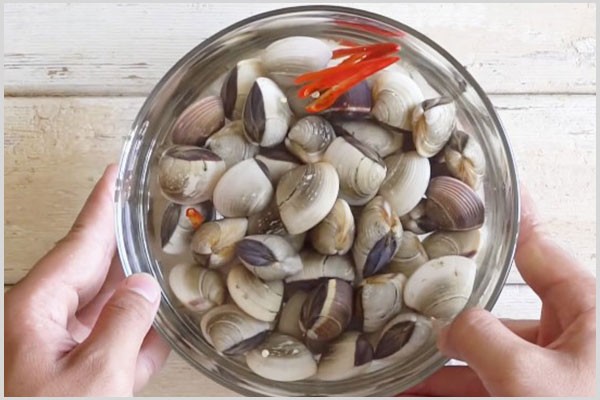 Sơ chế ngao tươi sống sạch cát trước khi bắt đầu cách nấu canh ngao chua với sấu.