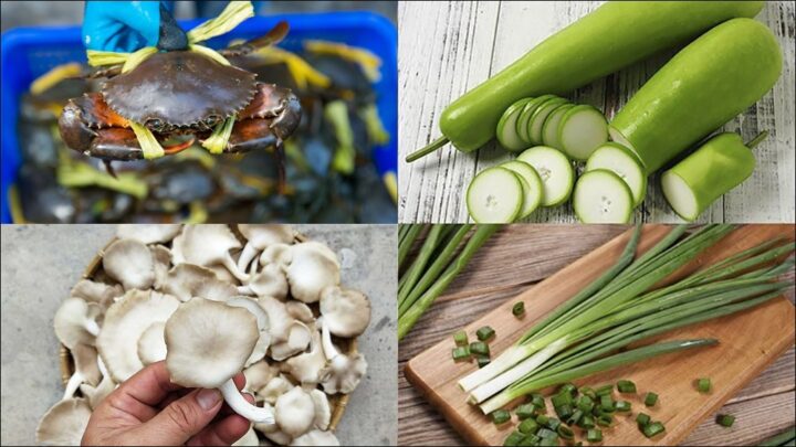 Các nguyên liệu tươi ngon chuẩn bị làm cua nấu bầu