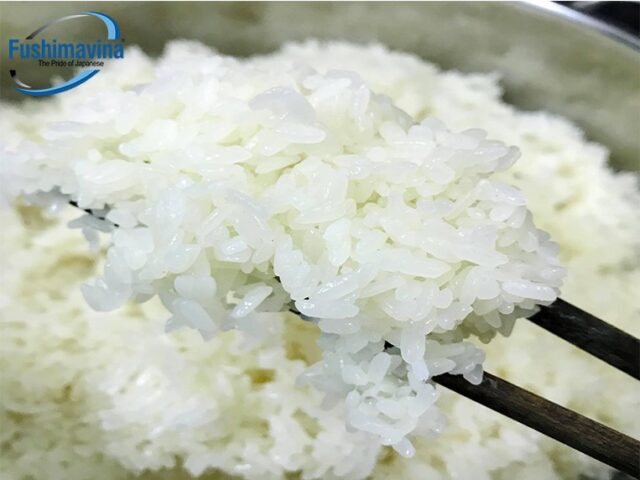 thiết bị nấu cơm công nghiệp