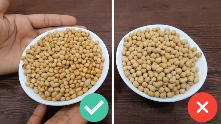 Hạt đậu nành chất lượng để nấu sữa đậu nành giảm cân