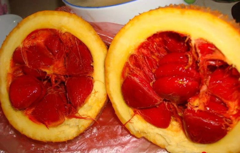 Đĩa xôi gấc đỏ tươi dẻo thơm hấp dẫn, món ăn truyền thống