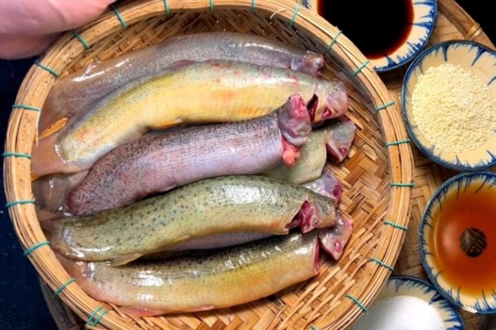 sơ chế cá chạch