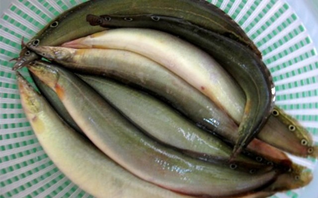 cách nấu cá kho tương chuẩn vị đồng quê