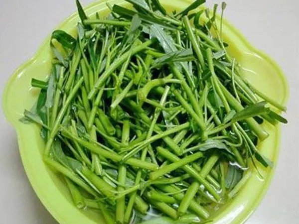 Cá hú đã làm sạch và cắt khoanh sẵn sàng cho món canh chua rau muống