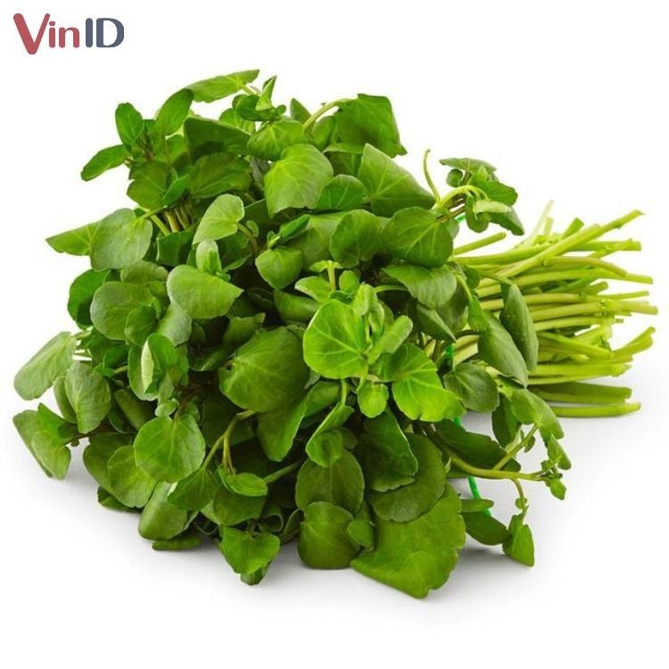Những bó cải xoong tươi ngon xanh mướt được chọn mua để nấu canh.