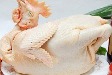 Gà ta nguyên con tươi sống, nguyên liệu chính cho món súp gà nấm đông cô thơm ngon