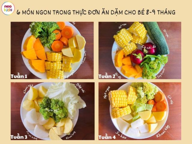 goi y cach len thuc don an dam cho tre tu 8 9 thang