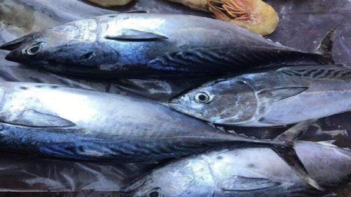 Hướng dẫn chọn cá ngừ tươi ngon với mắt trong veo để nấu canh chua