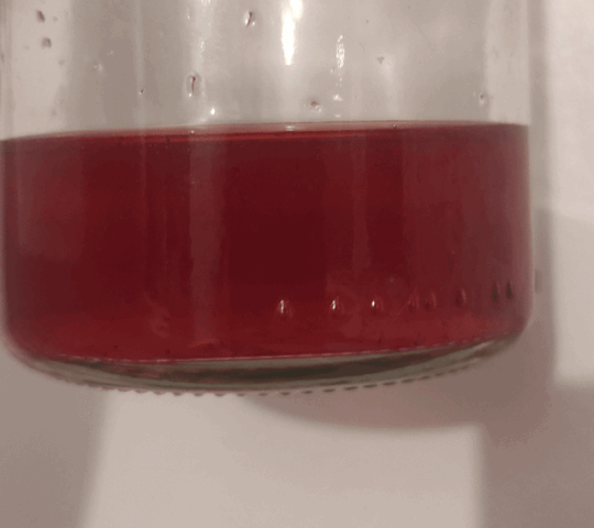 how to preserve fermented fruit syrup so it doesnt taste v0