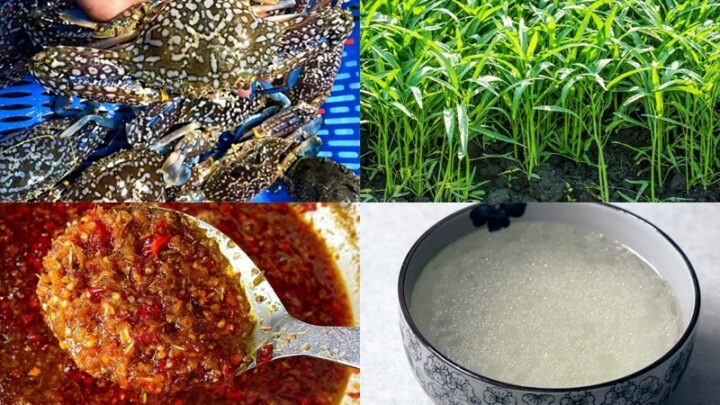 Nguyên liệu chính cho món lẩu ghẹ rau muống, bao gồm ghẹ tươi và rau muống xanh non
