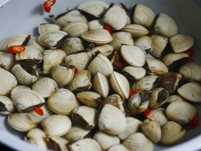 mẹo ngâm ngao sạch cát hiệu quả với nước muối và ớt giúp loại bỏ tạp chất
