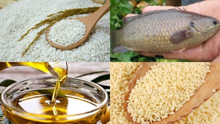 Nguyên liệu món ăn xôi cá rô đồng