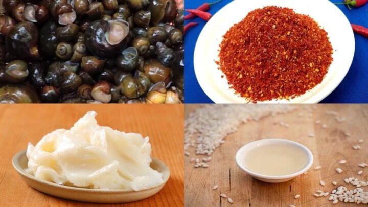 Nguyên liệu món ăn 2 cách nấu bún ốc nguội và nóng