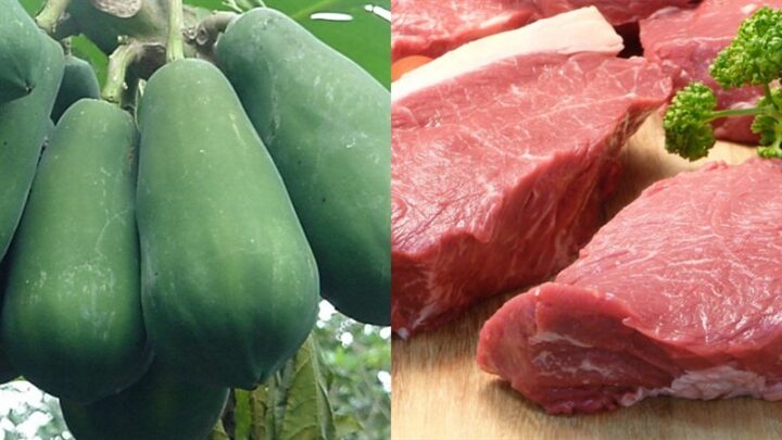 Chọn mua thịt nạc heo tươi ngon cho món canh thịt hầm