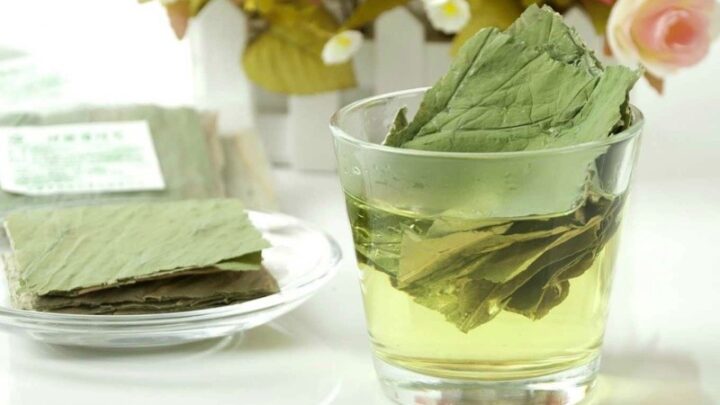 Cách Nấu Nước Uống Tan Mỡ Bụng Hiệu Quả Từ Thiên Nhiên - 1