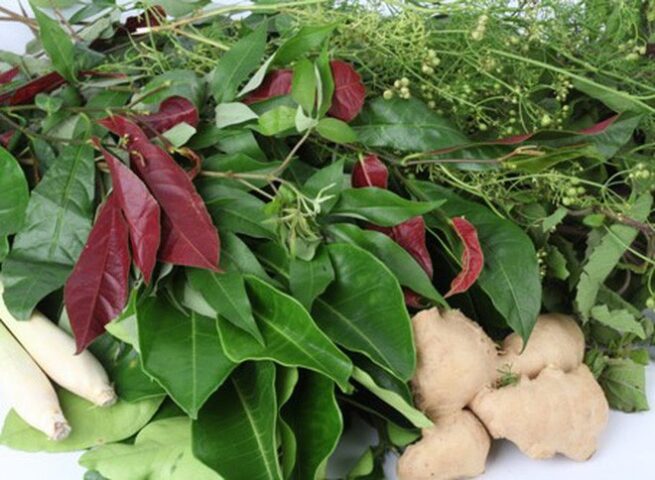 Các loại lá thảo dược tươi như sả, tía tô, gừng chuẩn bị cho cách nấu nước xông giải cảm tại nhà
