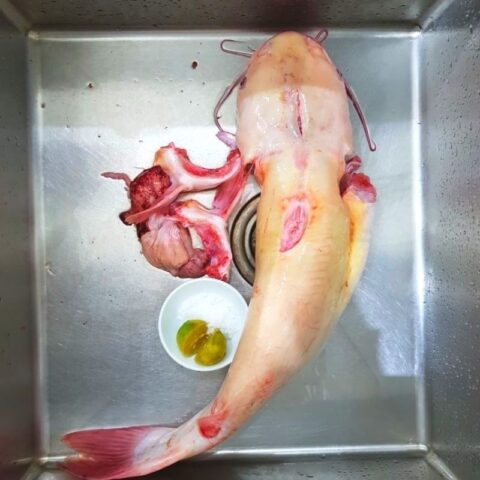Sơ chế cá lăng cho món canh chua