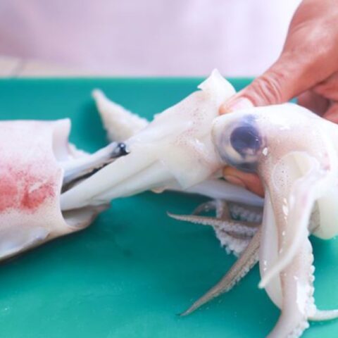 Cách nấu mực ngon đơn giản: Sơ chế mực - Rút đầu