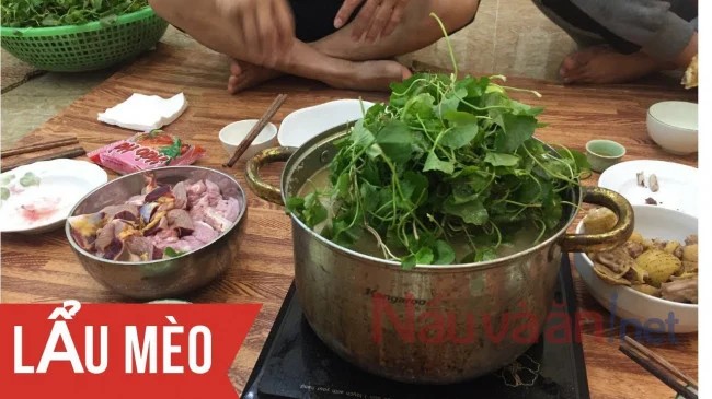 Nồi lẩu mèo rau má nóng hổi, thơm lừng, hấp dẫn, chuẩn vị cho bữa ăn gia đình.
