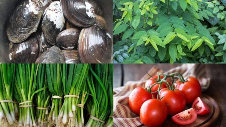 Nguyên liệu món ăn canh trai nấu rau ngót