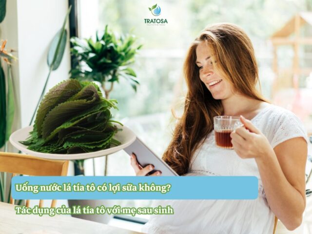 uong nuoc la tia to co loi sua khong 1